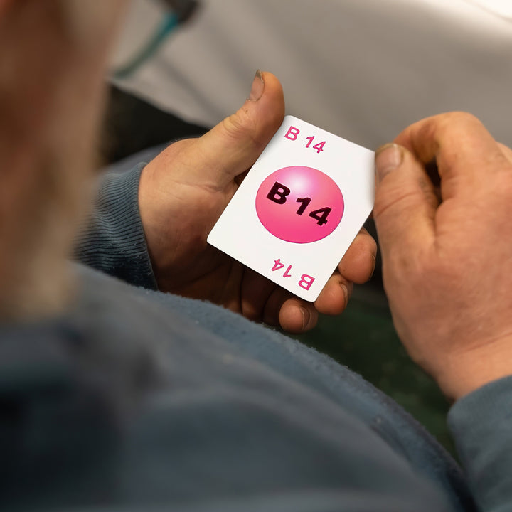 Professional Deck of Bingo Playing Cards